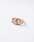 Castle Ring - 3