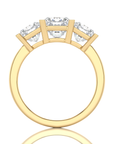 Royal Reverie Three-Stone Diamond Engagement Ring