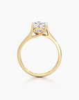 Fourfold Essence Diamond Ring